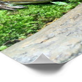 Happy Frog Poster (Hoek)