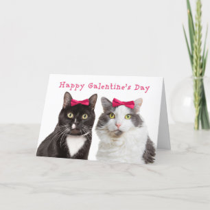 Happy Galentine's Day Cute Girl Cats Feestdagen Kaart