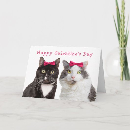 Happy Galentine's Day Schattigee Meisje Katten Feestdagen Kaart (Voorkant)