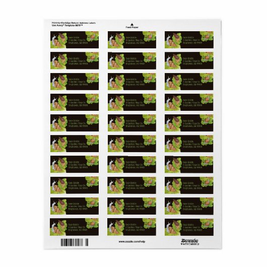 Happy Garden-slakken op bladeren Etiket (Full Sheet)