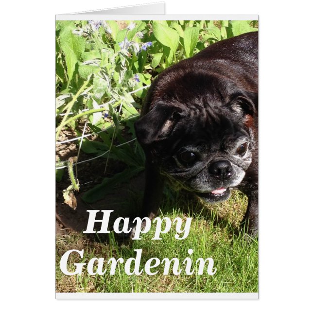 Happy Gardenin (Voorkant)