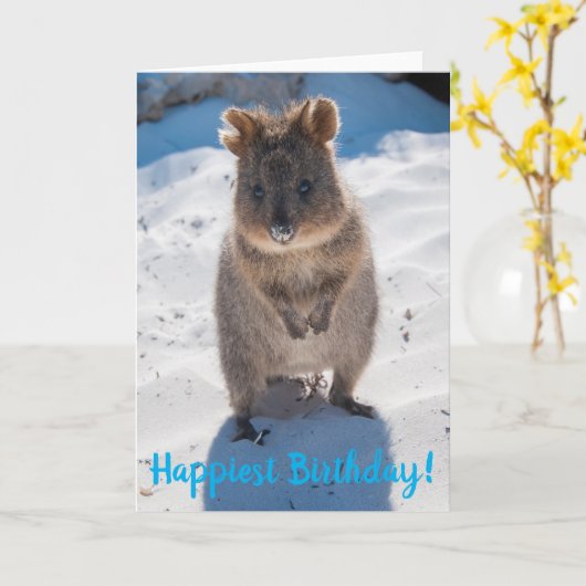 Happy Gelukkig Birthday Quokka Kaart (Gele Bloem)