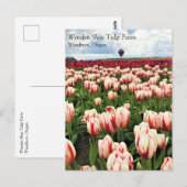 Happy Generation Tulip Field, Oregon Briefkaart (Voorkant / Achterkant)