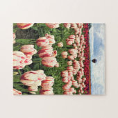Happy Generation Tulip Field, Oregon Legpuzzel (Horizontaal)