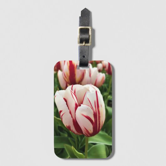 Happy Generation Tulip, Oregon Bagagelabel (Voorkant (verticaal))