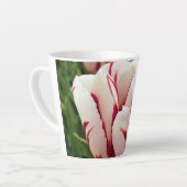 Happy Generation Tulip, Oregon Latte Mok (Linkerhoek)