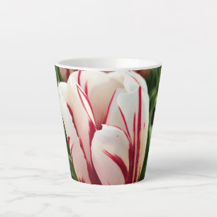 Happy Generation Tulip, Oregon Latte Mok
