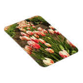 Happy Generation Tulips Magneet (Rechterzijde)