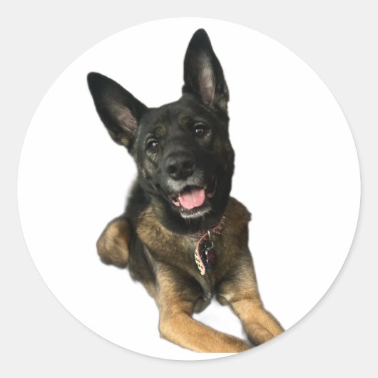 Happy German Shepard style dog sticker (Voorkant)