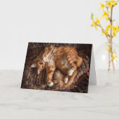 Happy Ginger Cat Birthday Card Kaart (Gele Bloem)