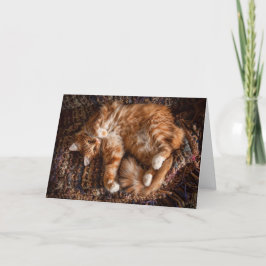 Happy Ginger Cat Birthday Card Kaart