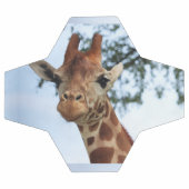 Happy Giraffe sluit Wildlife Safari op Voetbal (Enkel)