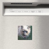 Happy Girl Magnet (Insitu (Vaatwasser))