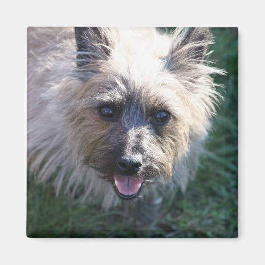 Happy Girl Magnet (Voorkant)