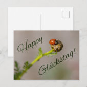 Happy Glückstag - mit Marienkäfer! Briefkaart (Voorkant / Achterkant)