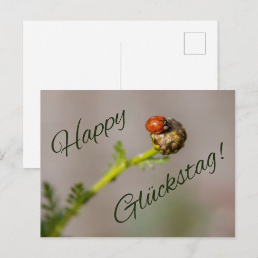 Happy Glückstag - mit Marienkäfer! Briefkaart (Voorkant / Achterkant)