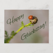Happy Glückstag - mit Marienkäfer! Briefkaart (Voorkant)