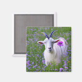 Happy Goat Magneet (Voorkant / Achterkant)