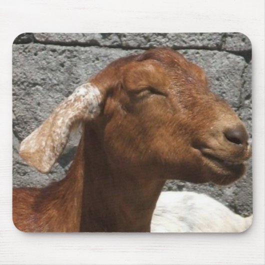 Happy Goat Muismat (Voorkant)