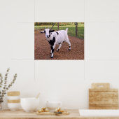 Happy Goat Poster (Keuken)