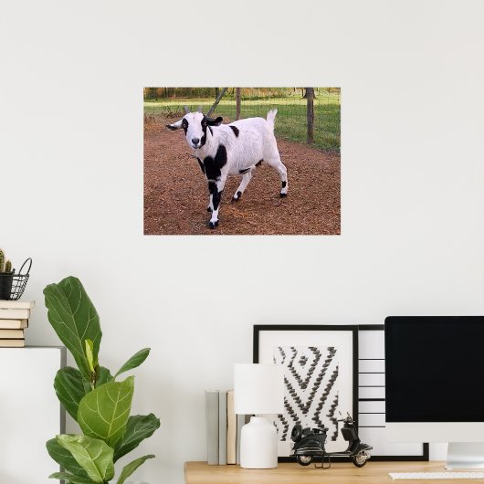 Happy Goat Poster (Thuiskantoor)