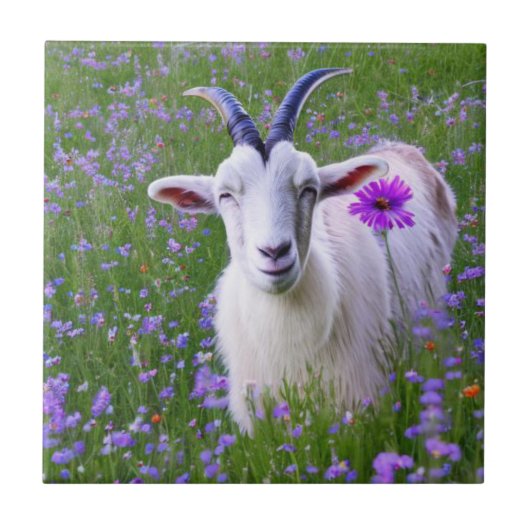 Happy Goat Tegeltje (Voorkant)