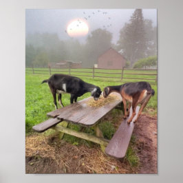 Happy Goats bij Sunset Poster