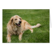 Happy Golden Retriever (Voorkant Horizontaal)