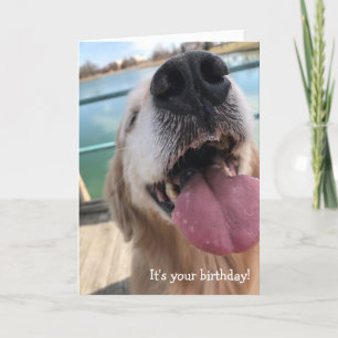 Happy Golden Retriever Birthday Kaart