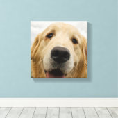 Happy Golden Retriever Canvas Afdruk (Insitu (Houten vloer))