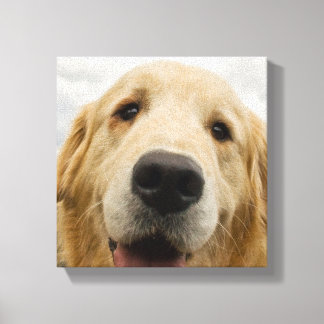 Happy Golden Retriever Canvas Afdruk