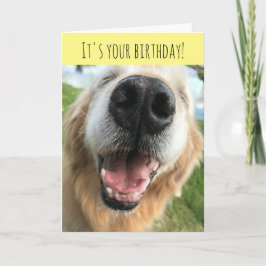 Happy Golden Retriever Dog Birthday Celebration Kaart