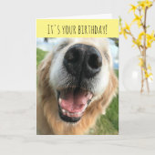 Happy Golden Retriever Dog Birthday Celebration Kaart (Gele Bloem)