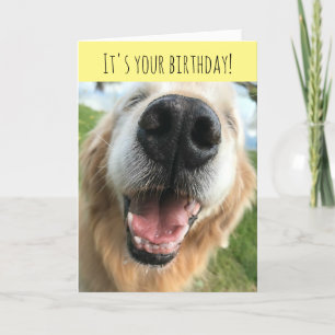 Happy Golden Retriever Dog Birthday Celebration Kaart