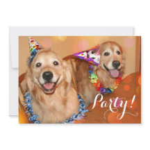 Happy Golden Retriever Dogs Birthday Party