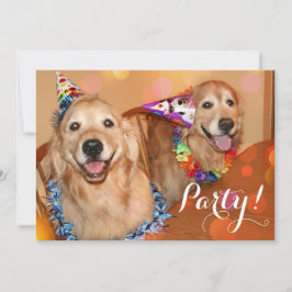 Happy Golden Retriever Dogs Birthday Party Kaart