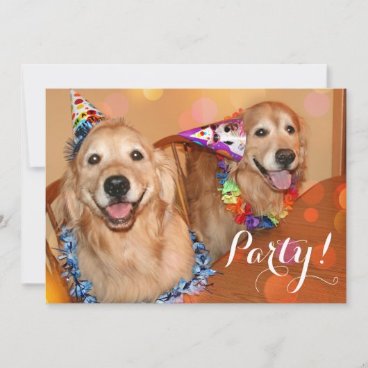 Happy Golden Retriever Dogs Birthday Party Kaart (Voorkant)