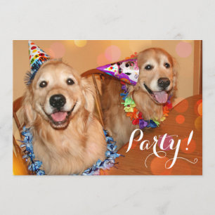Happy Golden Retriever Dogs Birthday Party Kaart