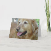 Happy Golden Retriever Kaart (Voorkant)