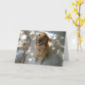 Happy Golden Retriever Kaart (Gele Bloem)
