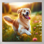 Happy Golden Retriever Poster (Voorkant)
