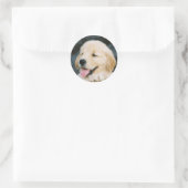 Happy Golden Retriever Puppy Sticker (Tas)