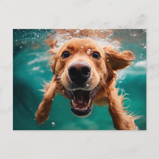 Happy Golden Retriever zwemmen onder water Briefkaart (Voorkant)