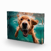 Happy Golden Retriever zwemmen onder water Fotoblokken (Rechts)