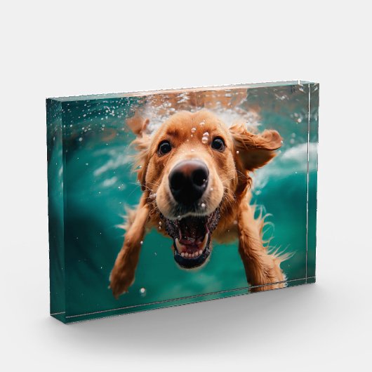 Happy Golden Retriever zwemmen onder water Fotoblokken (Links)