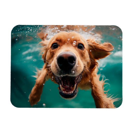 Happy Golden Retriever zwemmen onder water Magneet (Horizontaal)