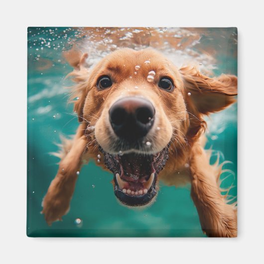 Happy Golden Retriever zwemmen onder water Magneet (Voorkant)