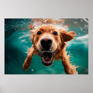 Happy Golden Retriever zwemmen onder water Poster