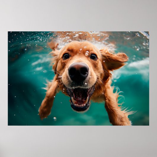 Happy Golden Retriever zwemmen onder water Poster (Voorkant)