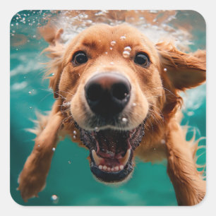 Happy Golden Retriever zwemmen onder water Vierkante Sticker